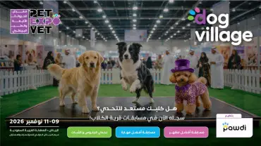قرية الكلاب 2026 - المشاركين في الرياض